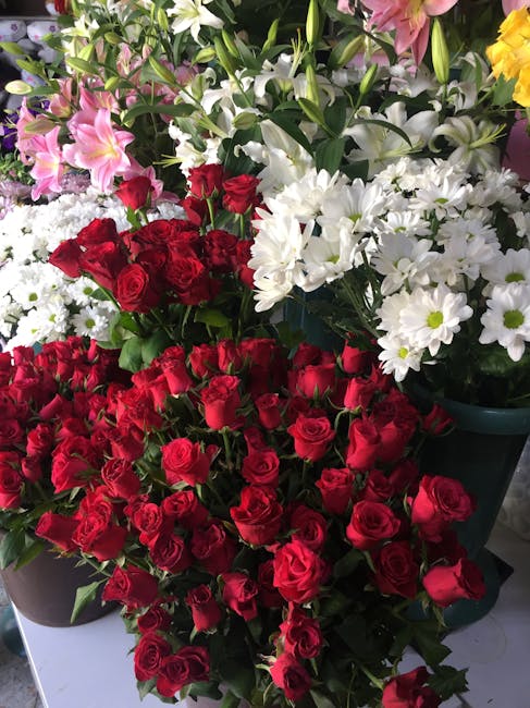A vibrant display of fresh red roses arranged densely in a bouquet, showcasing their tightly packed petals and deep green leaves. Behind them, there are clusters of white daisies with yellow centers,